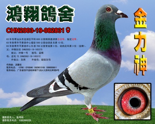 ǰhһ̖֮ĸ