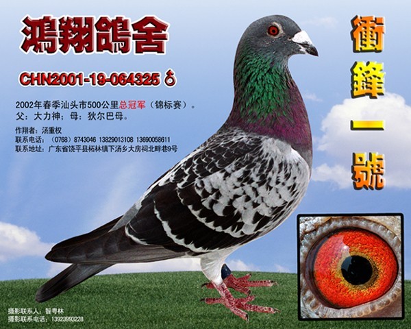 ֮游_hһ̖