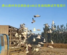 ɽf(xi)(hu)160Ͼy(c)ԇ_\֪ͨ