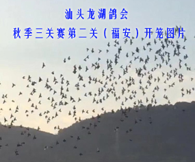 ^(hu)2019＾P(gun)ِڶP(gun)_\DƬ