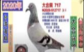 _ِd20ļPpp