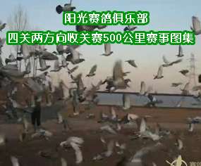 ꖹِ㘷P(gun)ɷP(gun)ِ500ِD