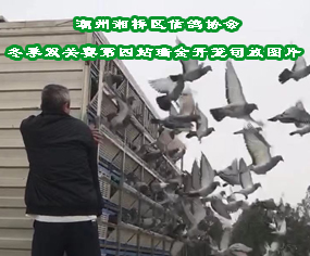 ^(q)f(xi)(hu)20궬pP(gun)ِվ_\r(sh)g˾ňDƬ