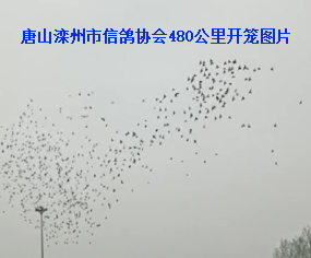 ɽf(xi)(hu)480_\֪ͨ