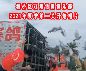 2021ļڶP(gun)_\Ƭ