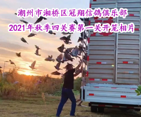 ^(q)㘷2021＾P(gun)ِһP(gun)_\Ƭ
