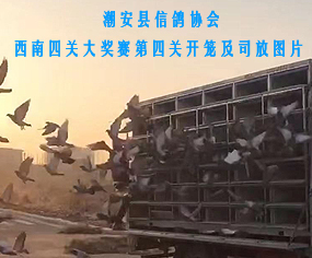 hf(xi)(hu)P(gun)(jing)ِP(gun)_\r(sh)g˾ňDƬ