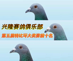 2021d¡ِ㘷رȭh(hun)(jing)ِǰʮp
