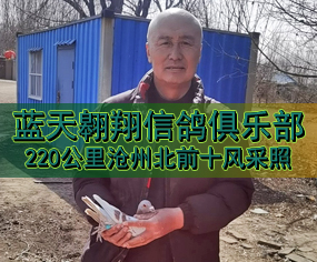 220ݱǰʮL(fng)