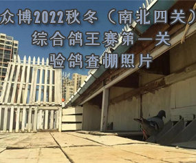 2022ﶬϱP(gun)CِһP(gun)Ƭ