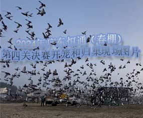 2024V|ͨP(gun)Qِ_\͚wF(xin)DƬ