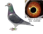 @(asd120222)