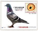 cِ(daqiguanjungeshe)