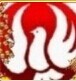 옷(l)B(xiaosenge)